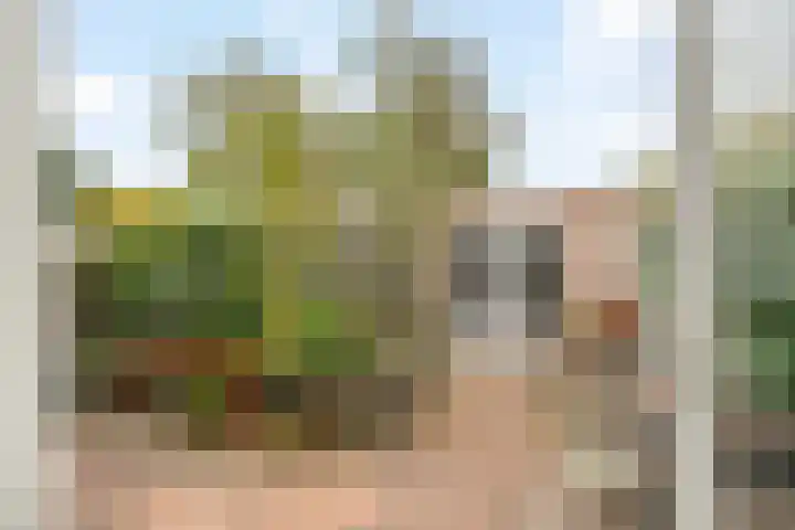 Dreefkant 34 Noordwijk thumbnail 12