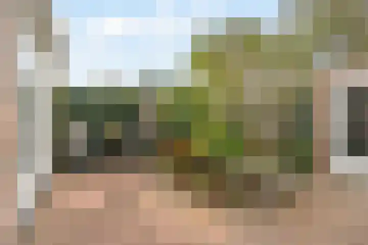 Dreefkant 34 Noordwijk thumbnail 13