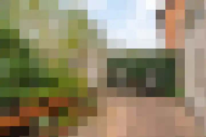 Dreefkant 34 Noordwijk thumbnail 14