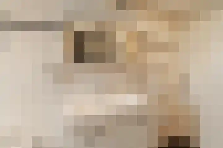 Dreefkant 34 Noordwijk thumbnail 27