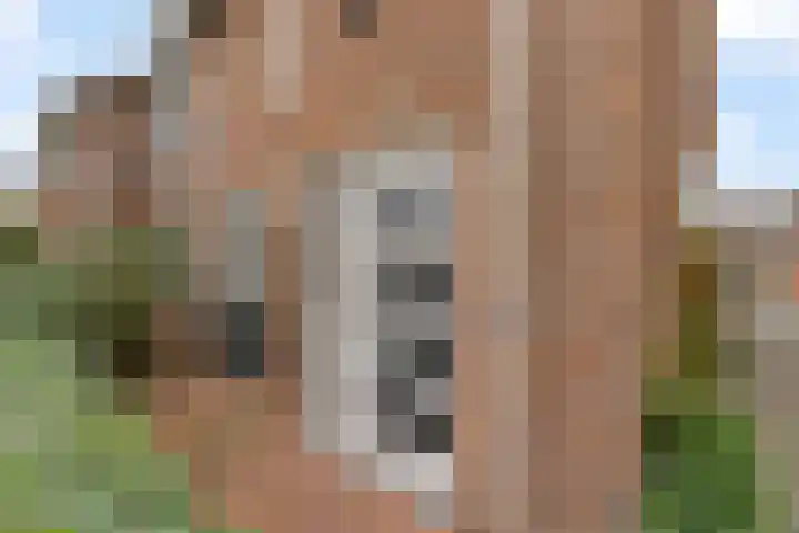 Dreefkant 34 Noordwijk foto 3