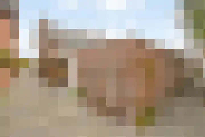 Dreefkant 34 Noordwijk thumbnail 35