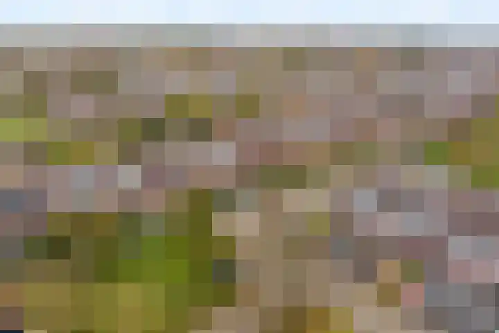 Dreefkant 34 Noordwijk thumbnail 37