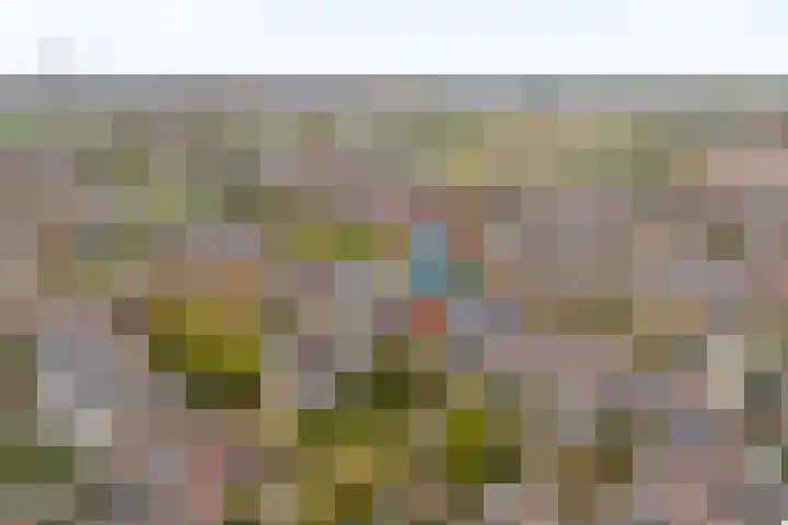Dreefkant 34 Noordwijk thumbnail 38