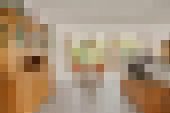 Dreefkant 34 Noordwijk thumbnail 8