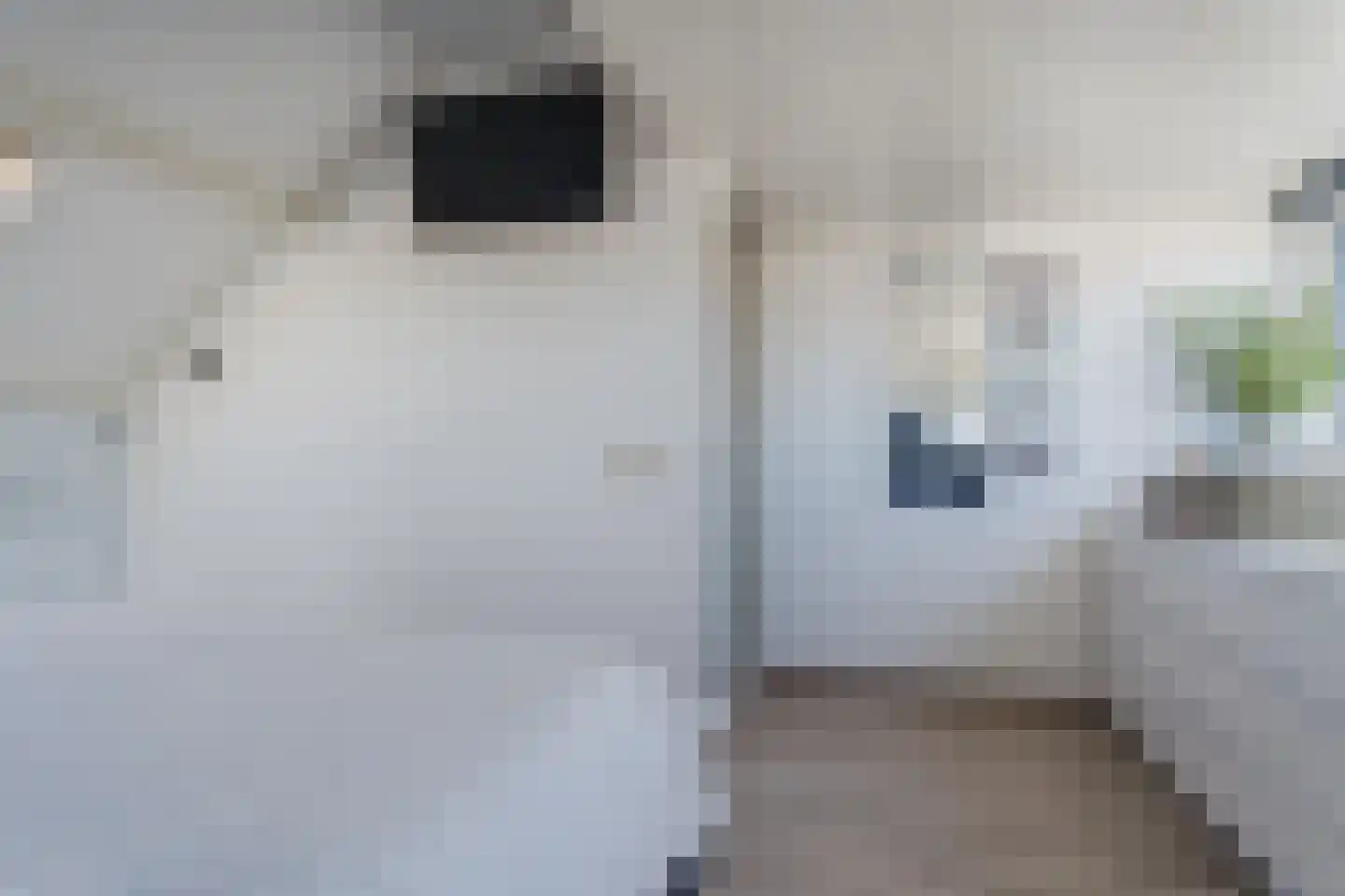 Dreefkant 39 Noordwijk thumbnail 29