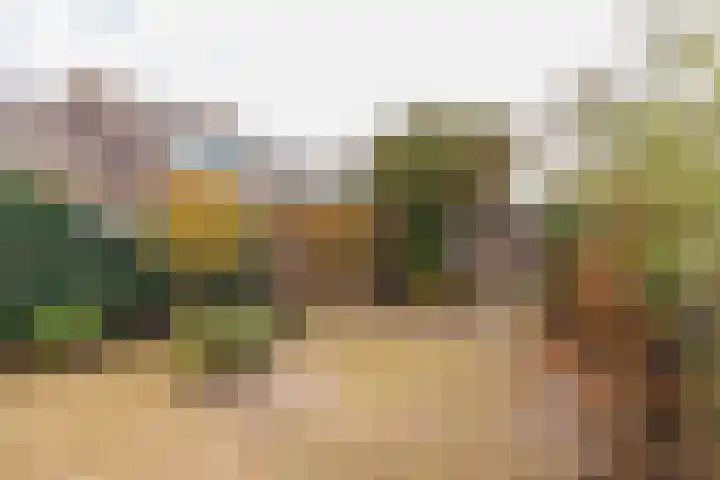 Dreefkant 68 Noordwijk thumbnail 12