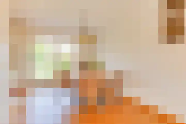Dreeflaan 33 't Veld thumbnail 13