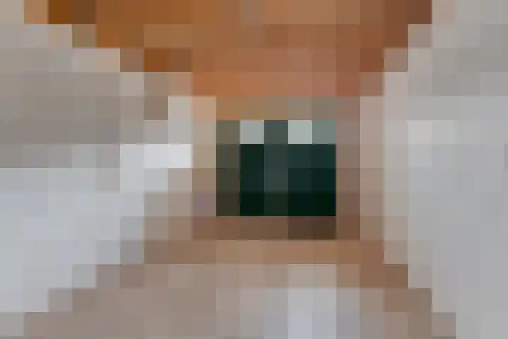 Dreeflaan 33 't Veld thumbnail 19
