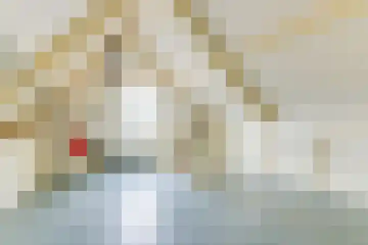 Dreeflaan 33 't Veld thumbnail 32
