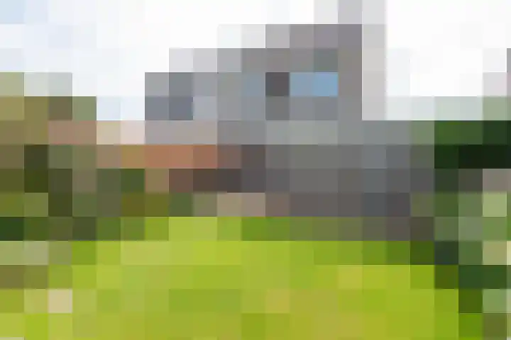 Dreeflaan 33 't Veld thumbnail 33