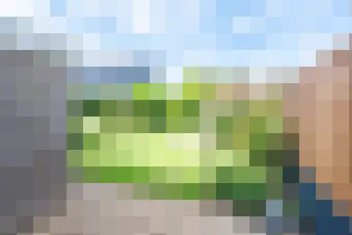 Dreeflaan 33 't Veld thumbnail 34