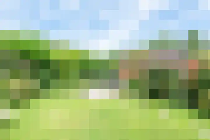 Dreeflaan 33 't Veld thumbnail 35