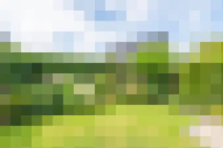 Dreeflaan 33 't Veld thumbnail 36