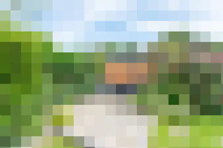 Dreeflaan 33 't Veld thumbnail 37