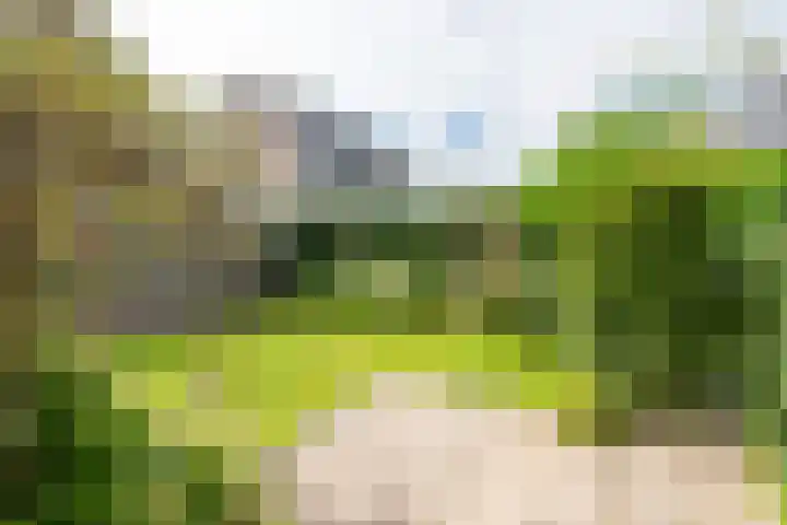 Dreeflaan 33 't Veld thumbnail 38