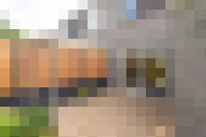 Dreeflaan 33 't Veld thumbnail 39