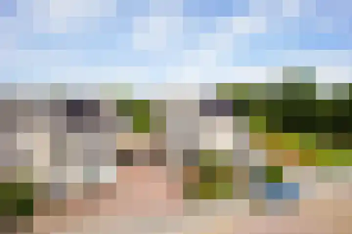 Dreeflaan 33 't Veld thumbnail 4
