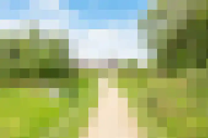 Dreeflaan 33 't Veld thumbnail 40