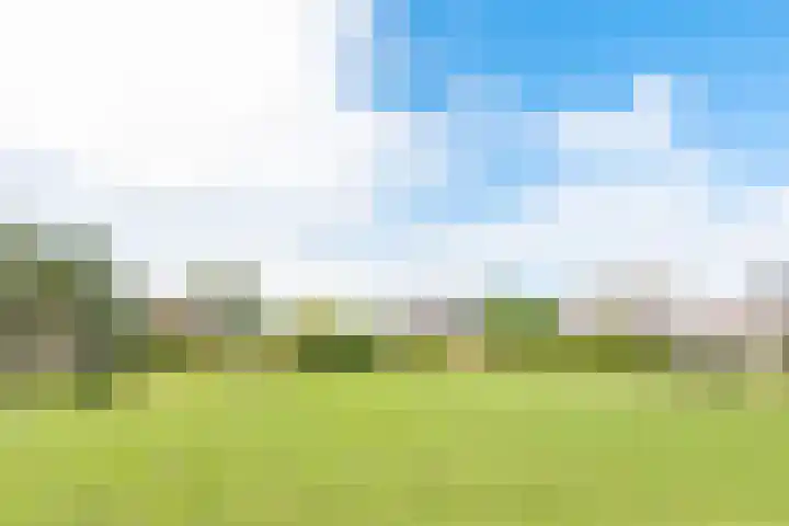 Dreeflaan 33 't Veld thumbnail 41