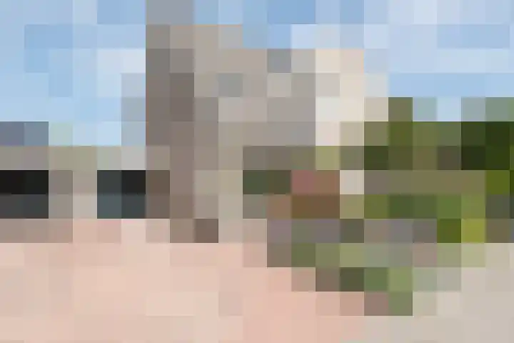 Dreeflaan 33 't Veld thumbnail 5