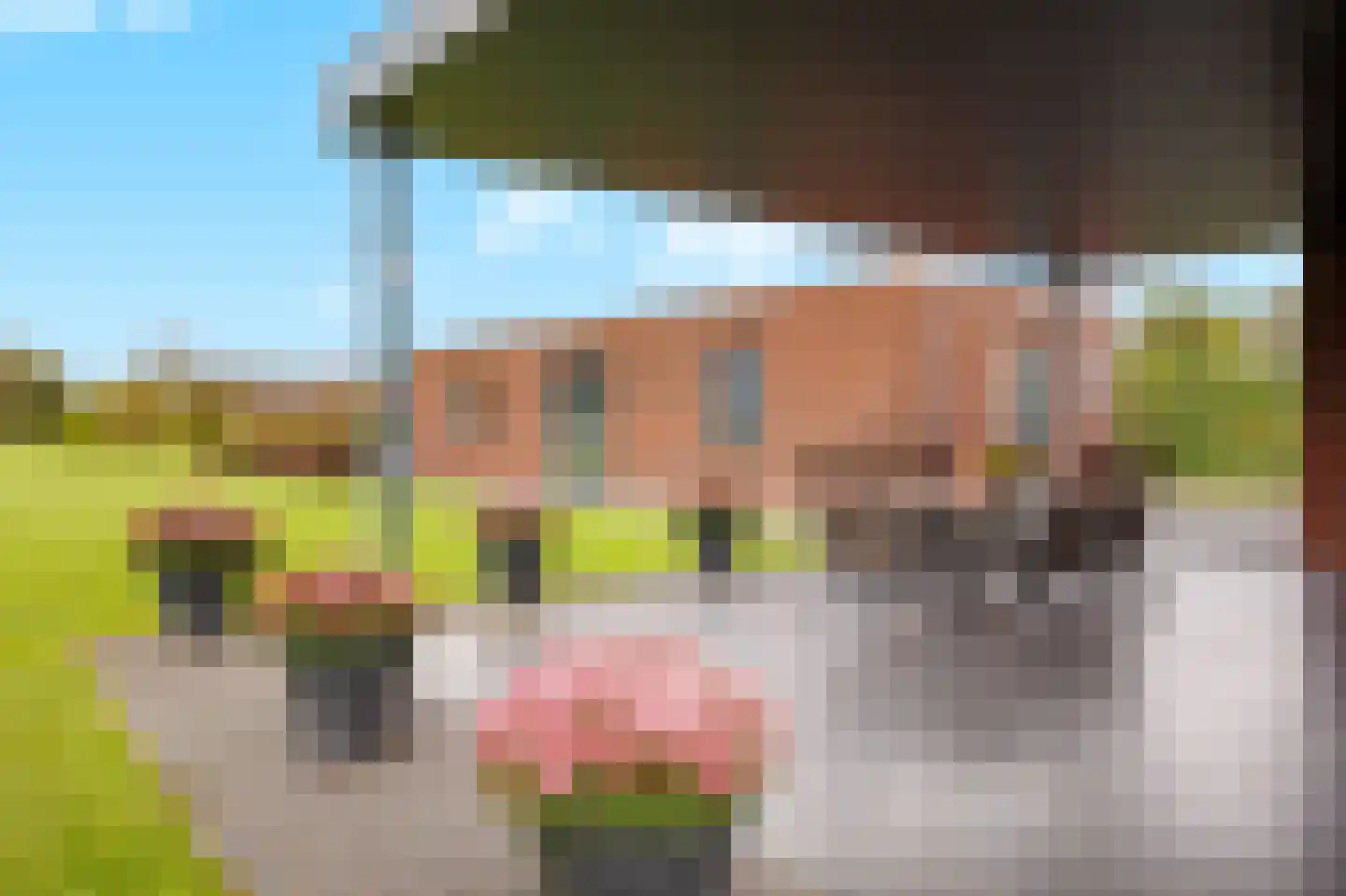 Dreefseweg 35 Kaatsheuvel thumbnail 57