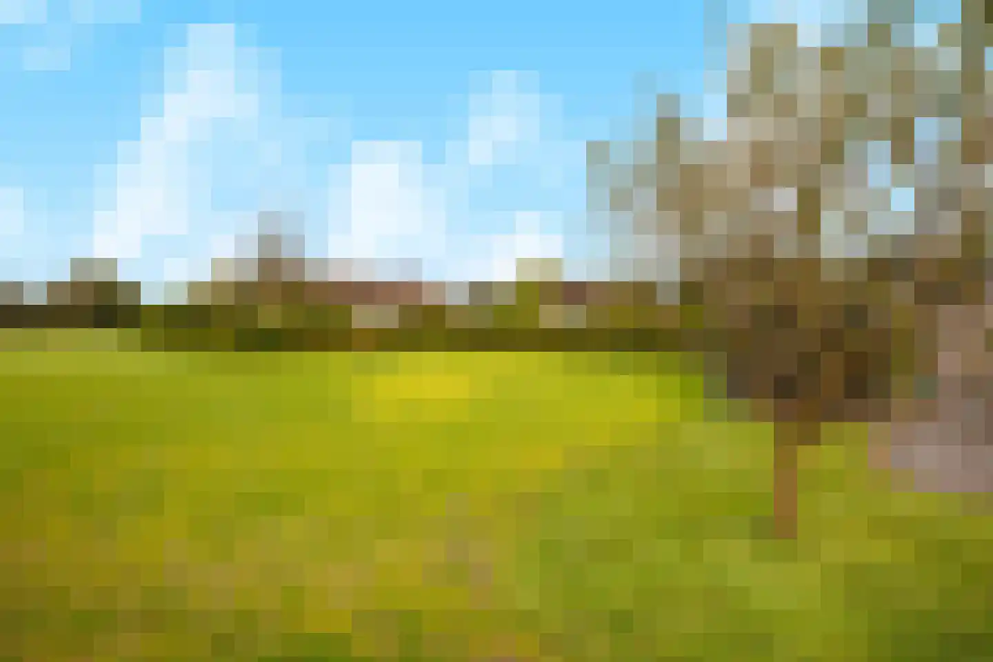 Dreefseweg 35 Kaatsheuvel thumbnail 61