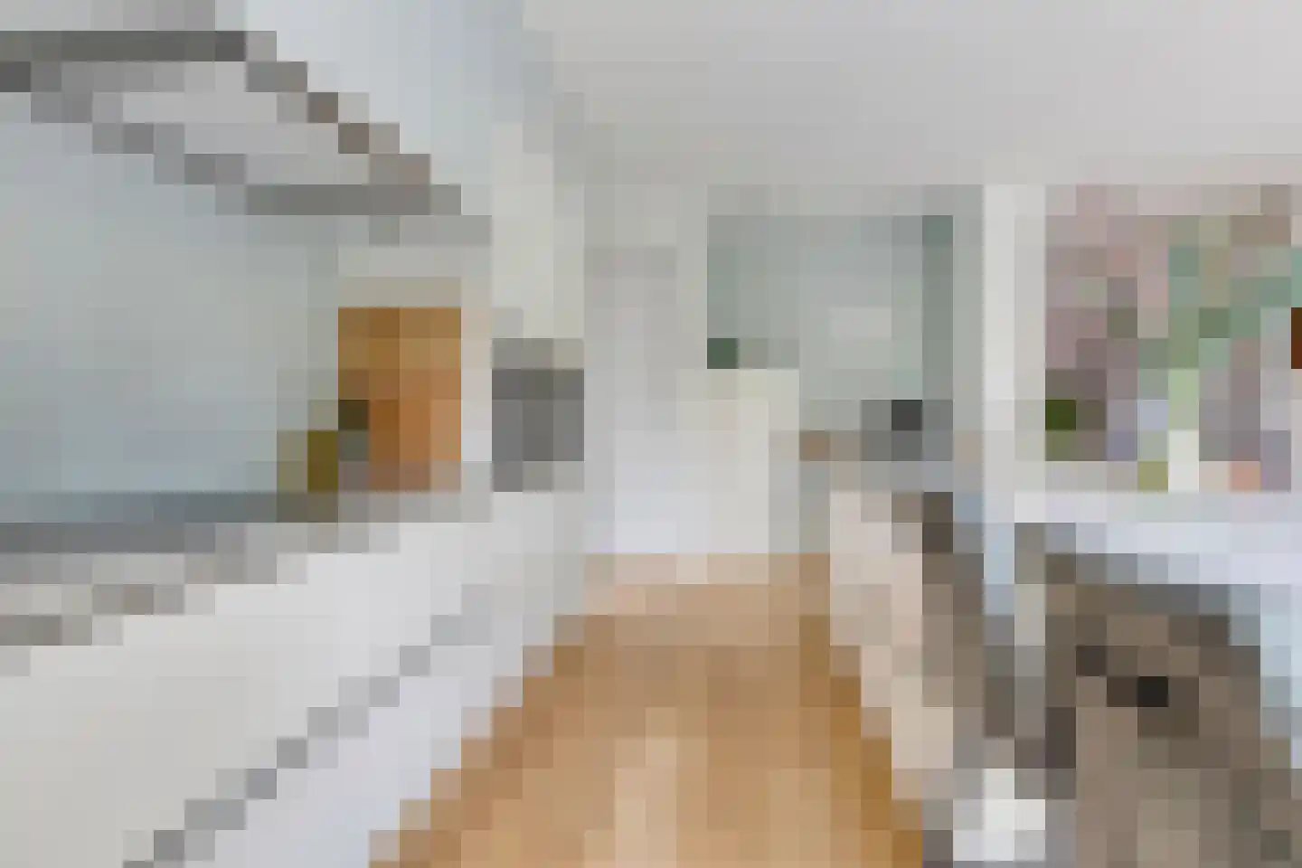 Dreefseweg 38 Kaatsheuvel thumbnail 19