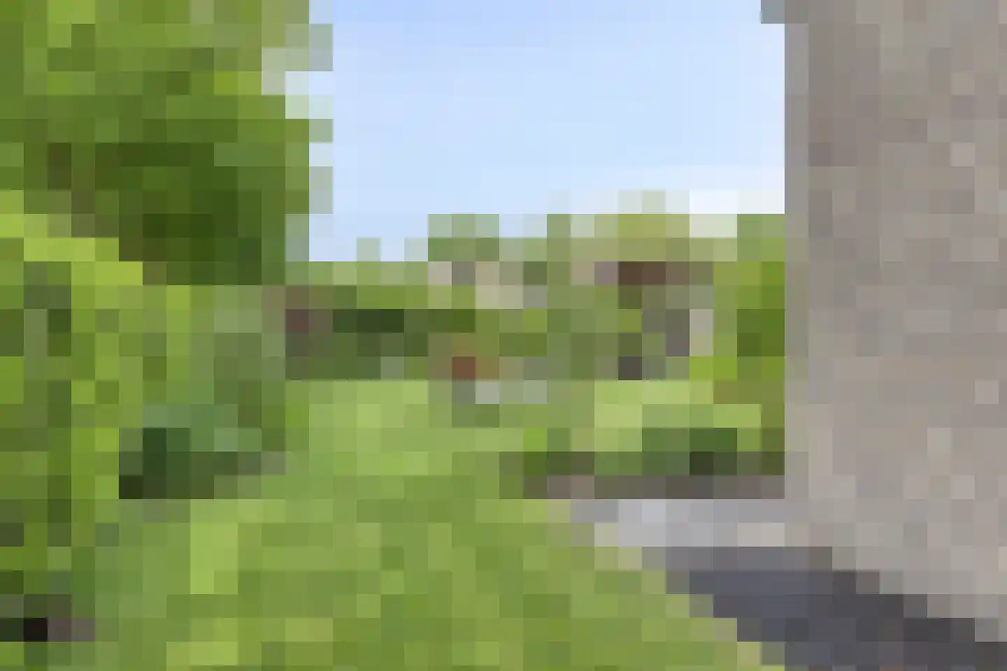Dreefseweg 38 Kaatsheuvel thumbnail 44