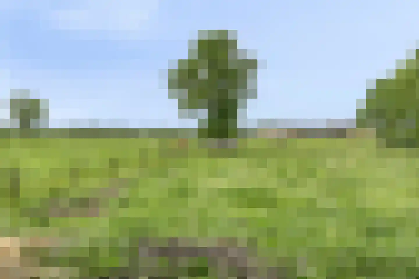 Dreefseweg 38 Kaatsheuvel thumbnail 61