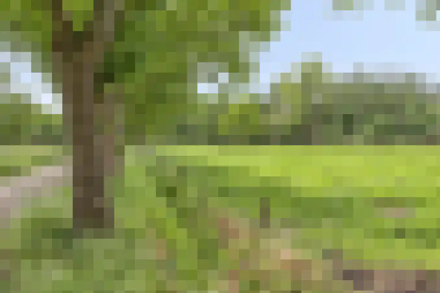 Dreefseweg 38 Kaatsheuvel thumbnail 62