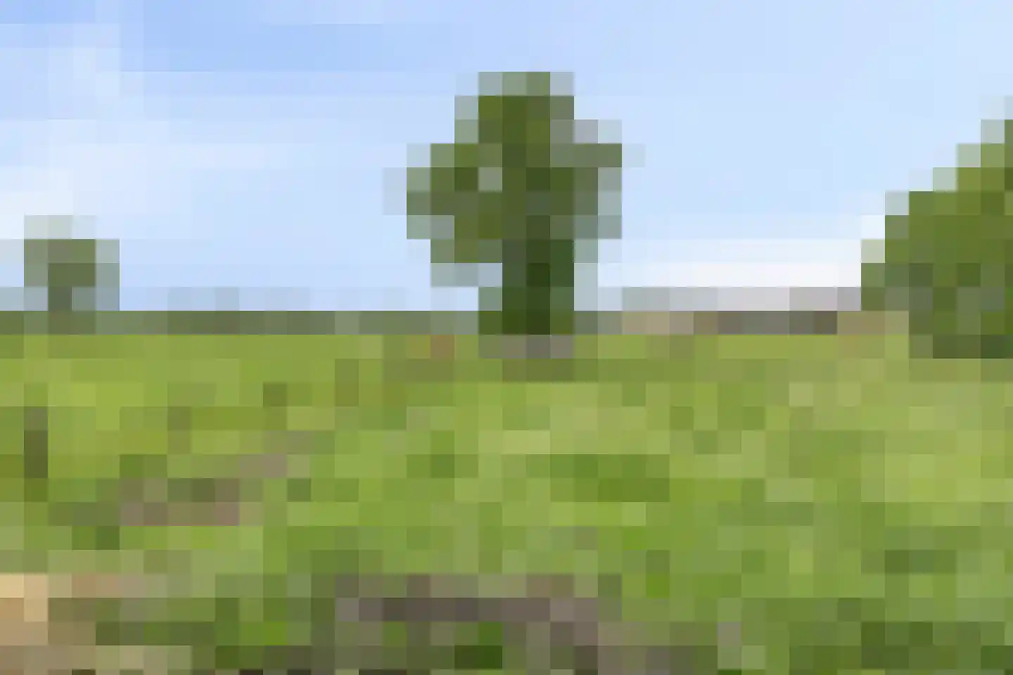 Dreefseweg 38 Kaatsheuvel thumbnail 64