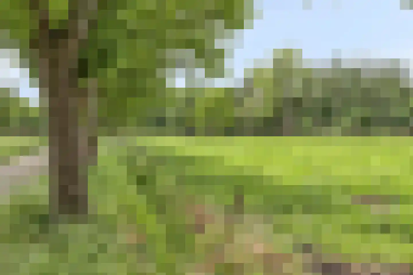 Dreefseweg 38 Kaatsheuvel thumbnail 65