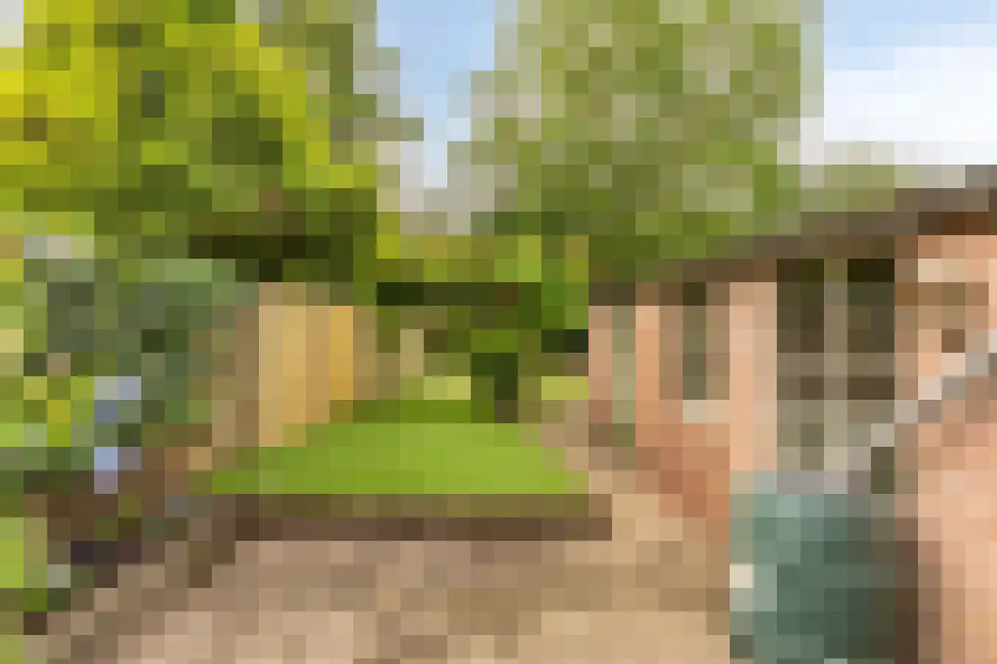 Dreefstraat 25 Waalre thumbnail 19