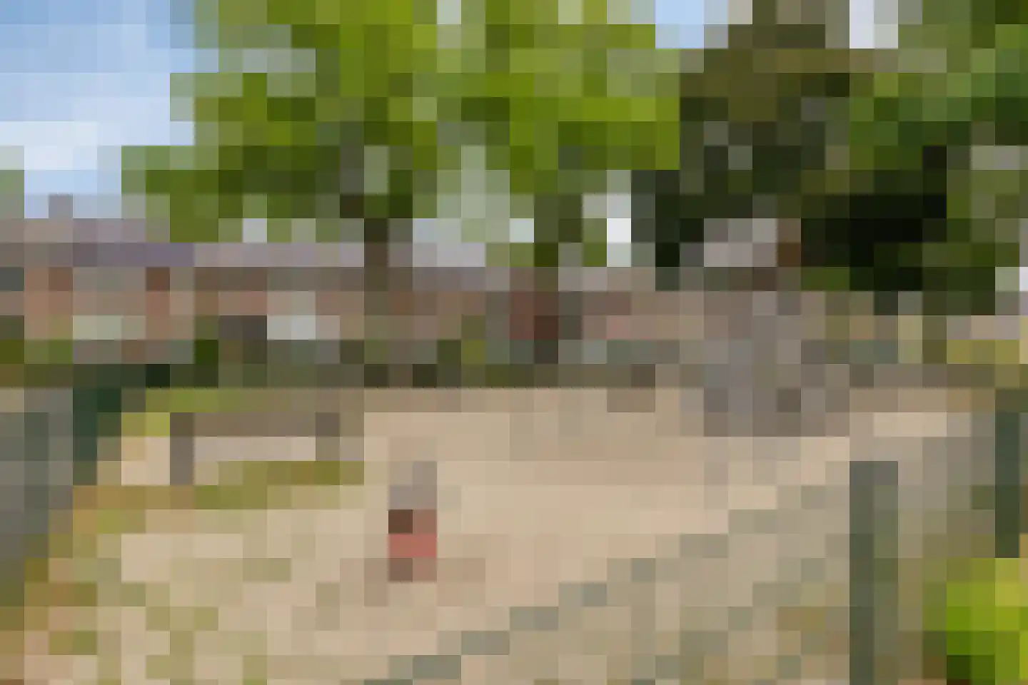 Dreefstraat 25 Waalre thumbnail 24
