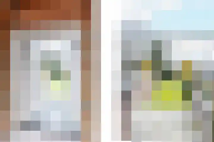 Dreefstraat 34 Waalre thumbnail 18