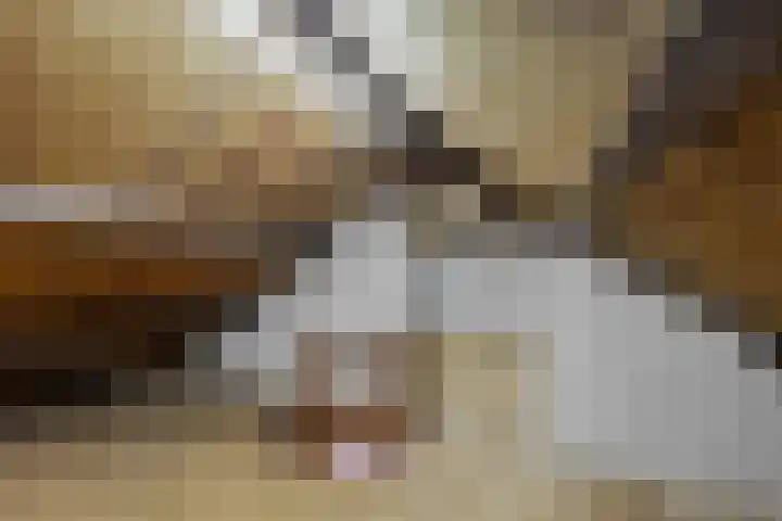 Dreefstraat 34 Waalre thumbnail 25