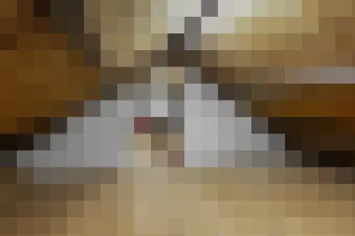 Dreefstraat 34 Waalre thumbnail 26