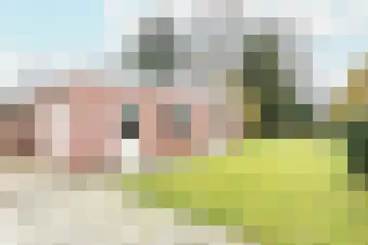 Dreefstraat 34 Waalre thumbnail 33