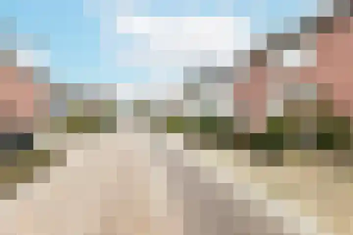 Dreefstraat 34 Waalre thumbnail 36