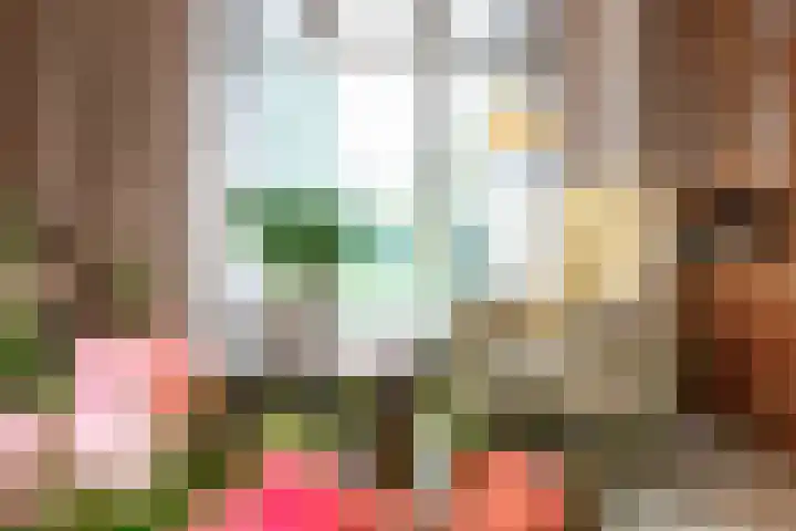 Dreefstraat 34 Waalre thumbnail 7