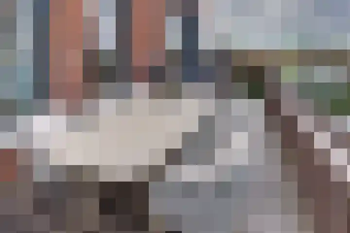 Drees van Dordenkade 1 Harderwijk thumbnail 21