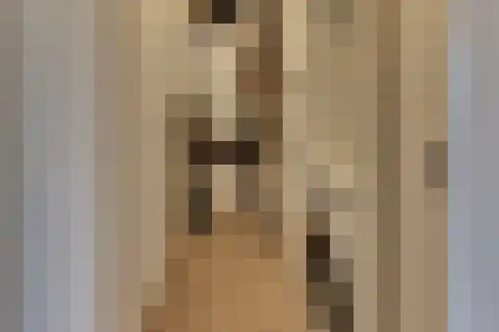 Drees van Dordenkade 1 Harderwijk thumbnail 31