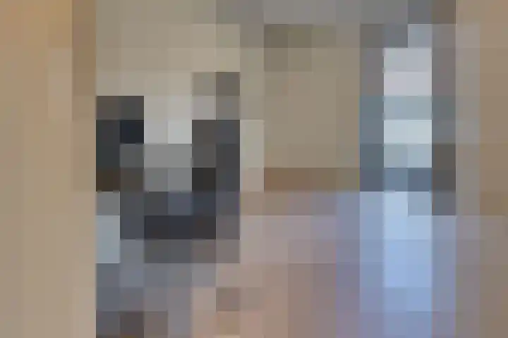 Drees van Dordenkade 1 Harderwijk thumbnail 32