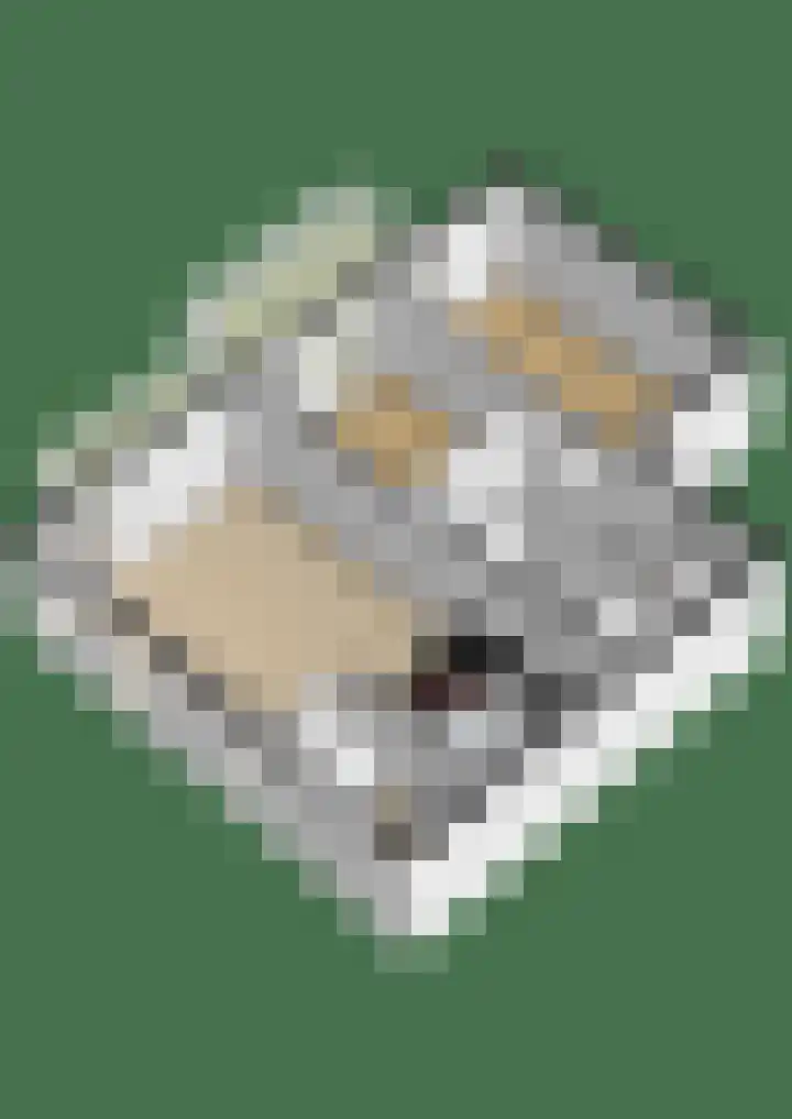 Drees van Dordenkade 1 Harderwijk thumbnail 48