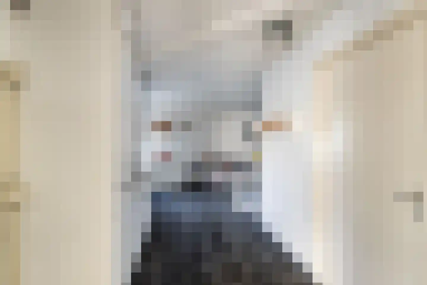 Dreeslaan 10 Naaldwijk thumbnail 11
