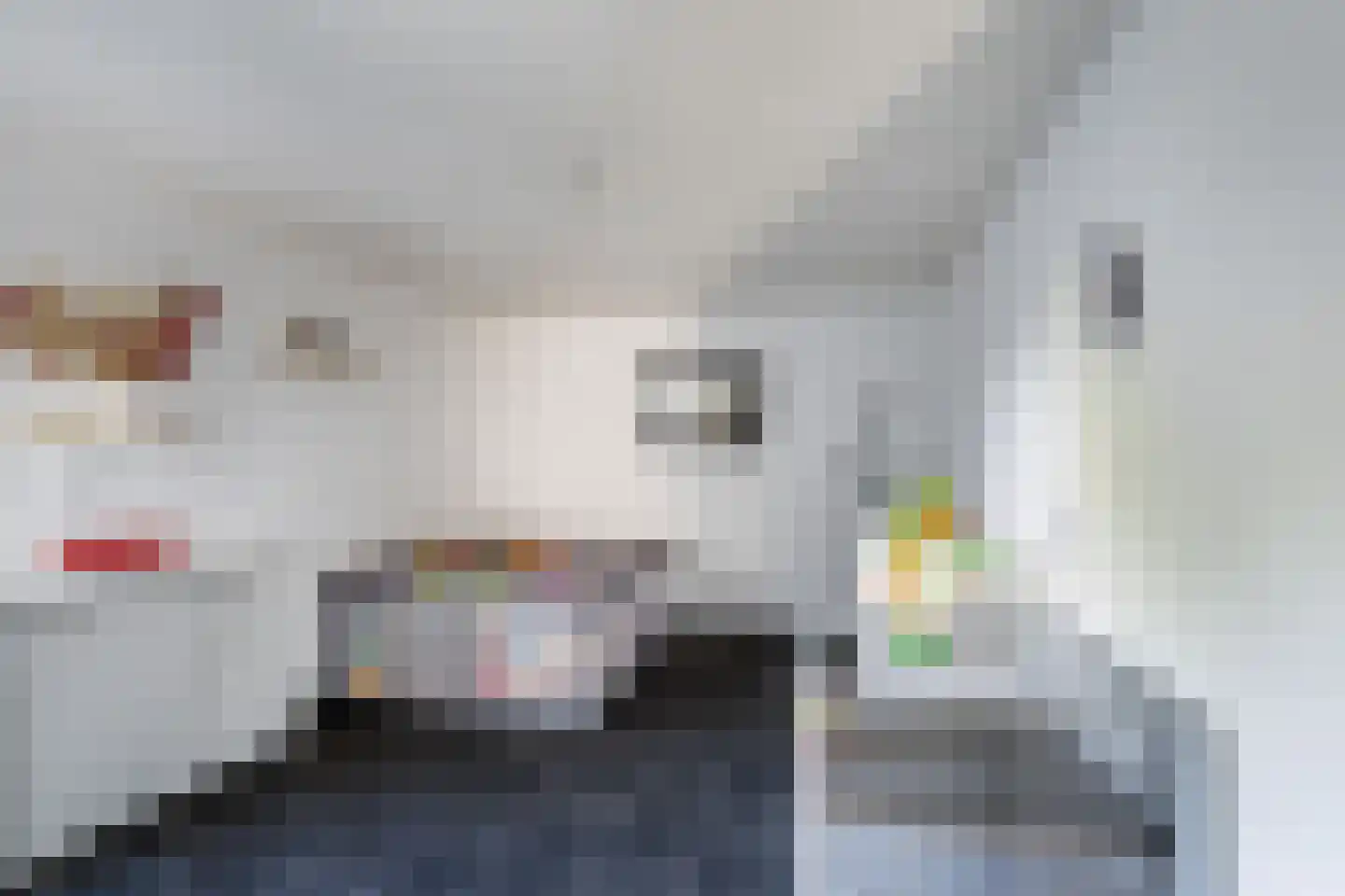 Dreeslaan 10 Naaldwijk thumbnail 12