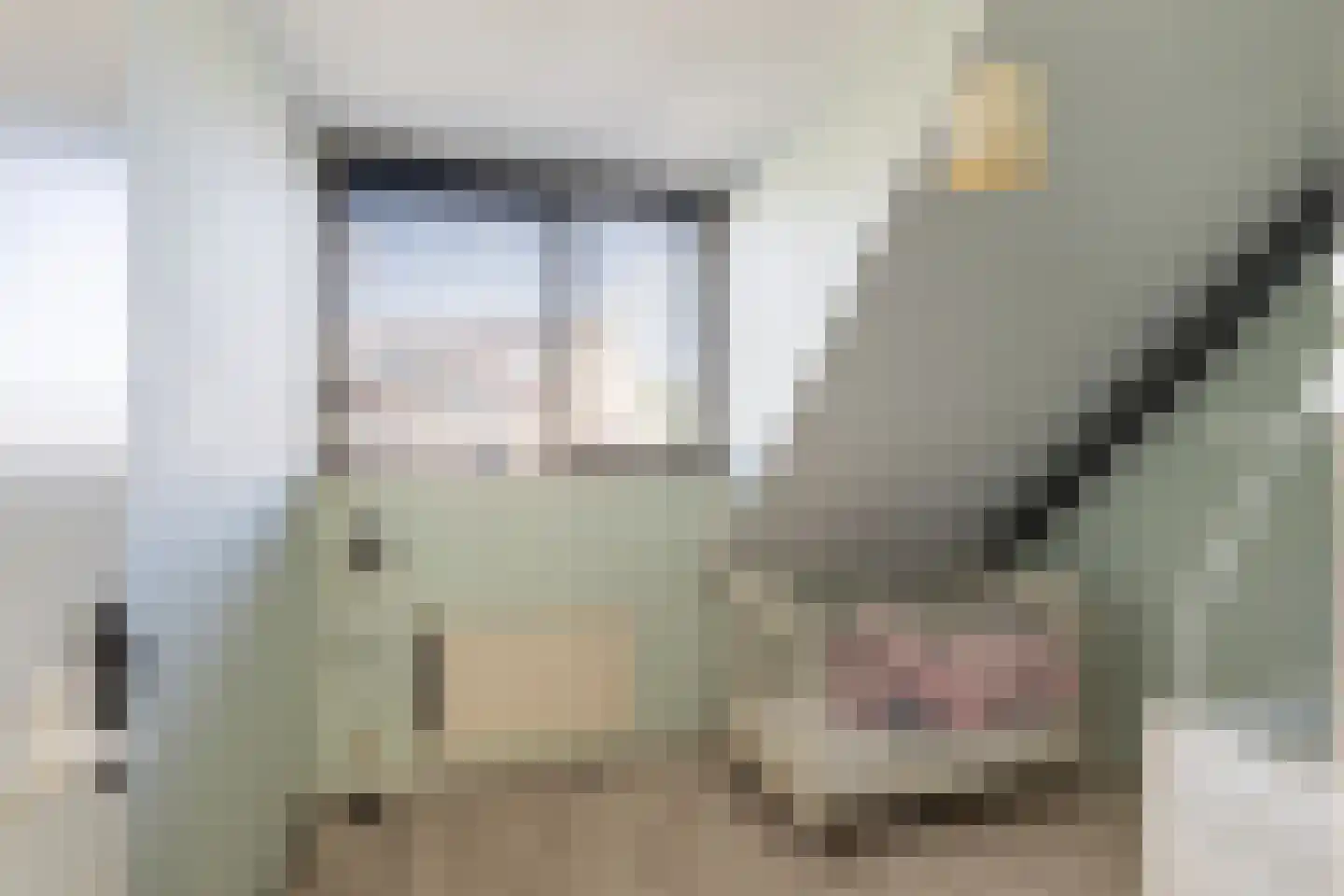 Dreeslaan 10 Naaldwijk thumbnail 20