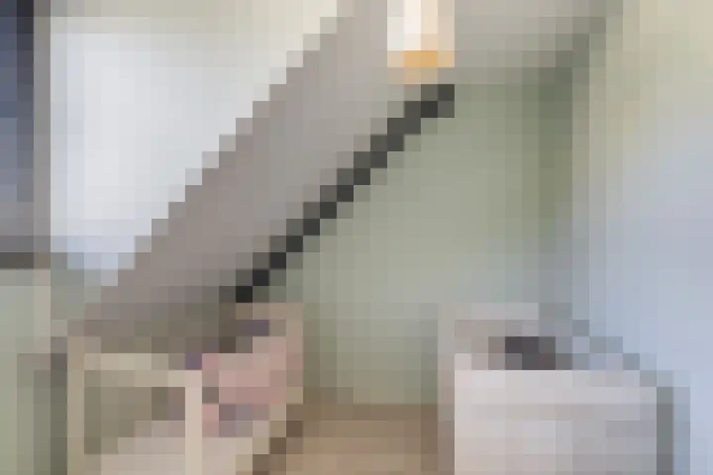 Dreeslaan 10 Naaldwijk thumbnail 21