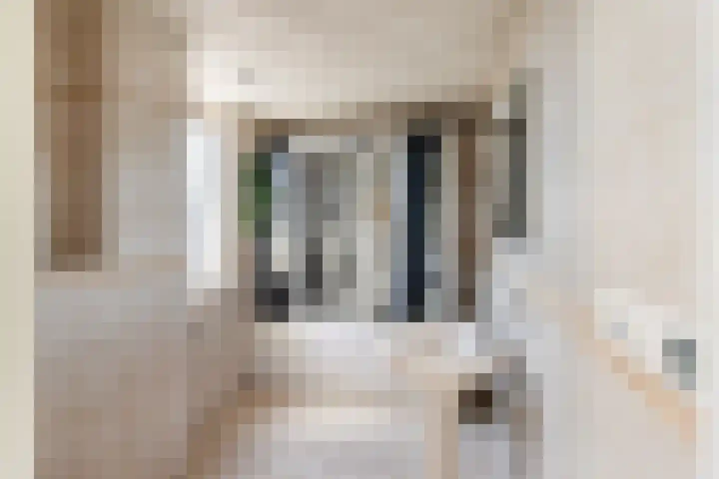 Dreeslaan 10 Naaldwijk thumbnail 24